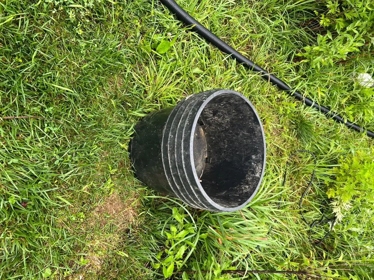 Tropical floating plants including water hyacinth and water lettuce