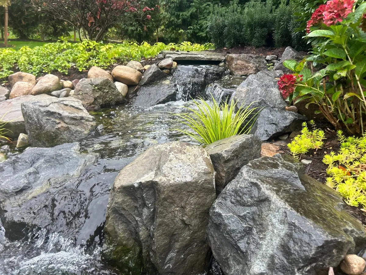 Natural swim pond with aquatic plants and crystal clear water