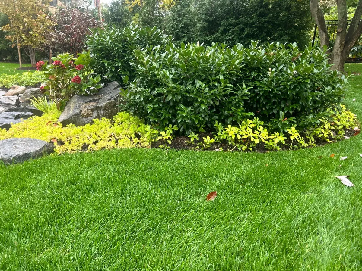 Natural stream feature with clear water and stone edging