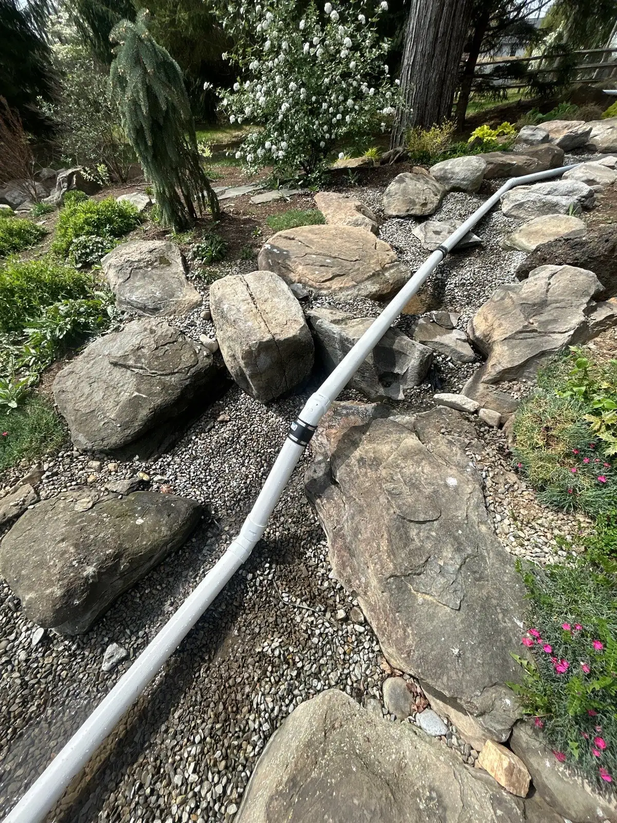 What Wilmington Homeowners Should Track Before Leak Diagnostics