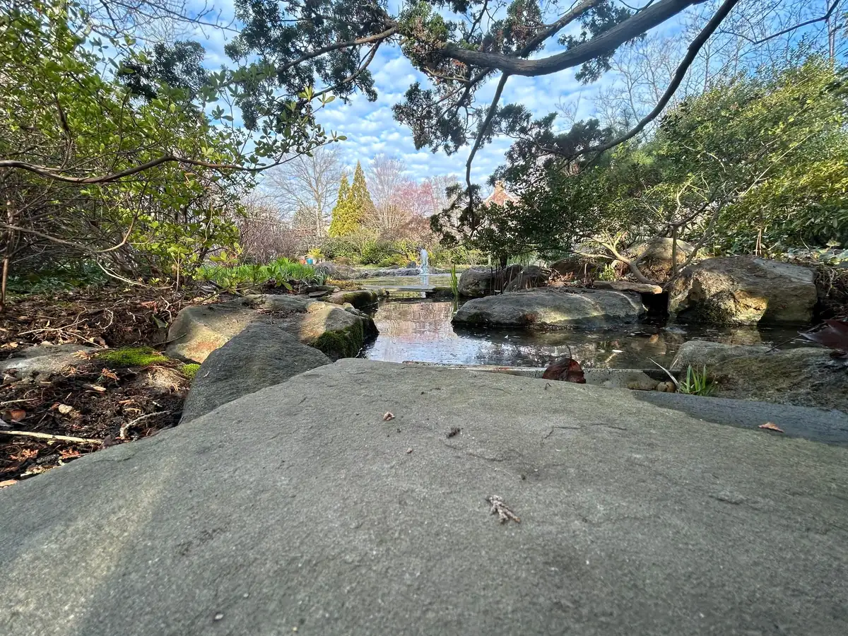 Boulder waterfall construction with natural stone placement