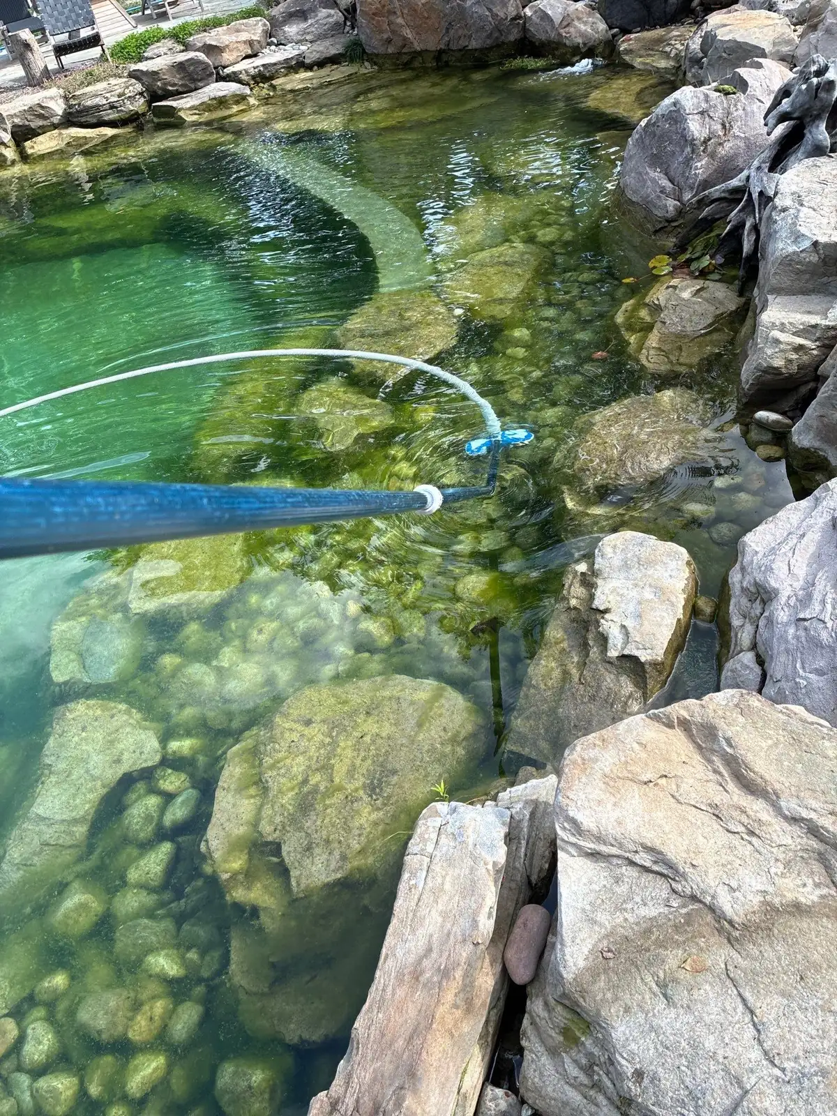 Professional pond maintenance service in Hockessin, Delaware