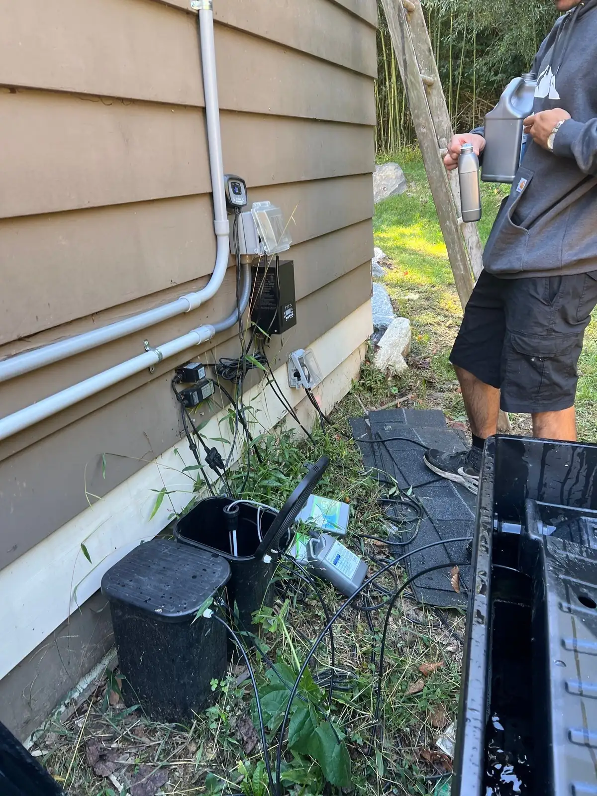Maintained ecosystem pond with crystal clear water and healthy koi