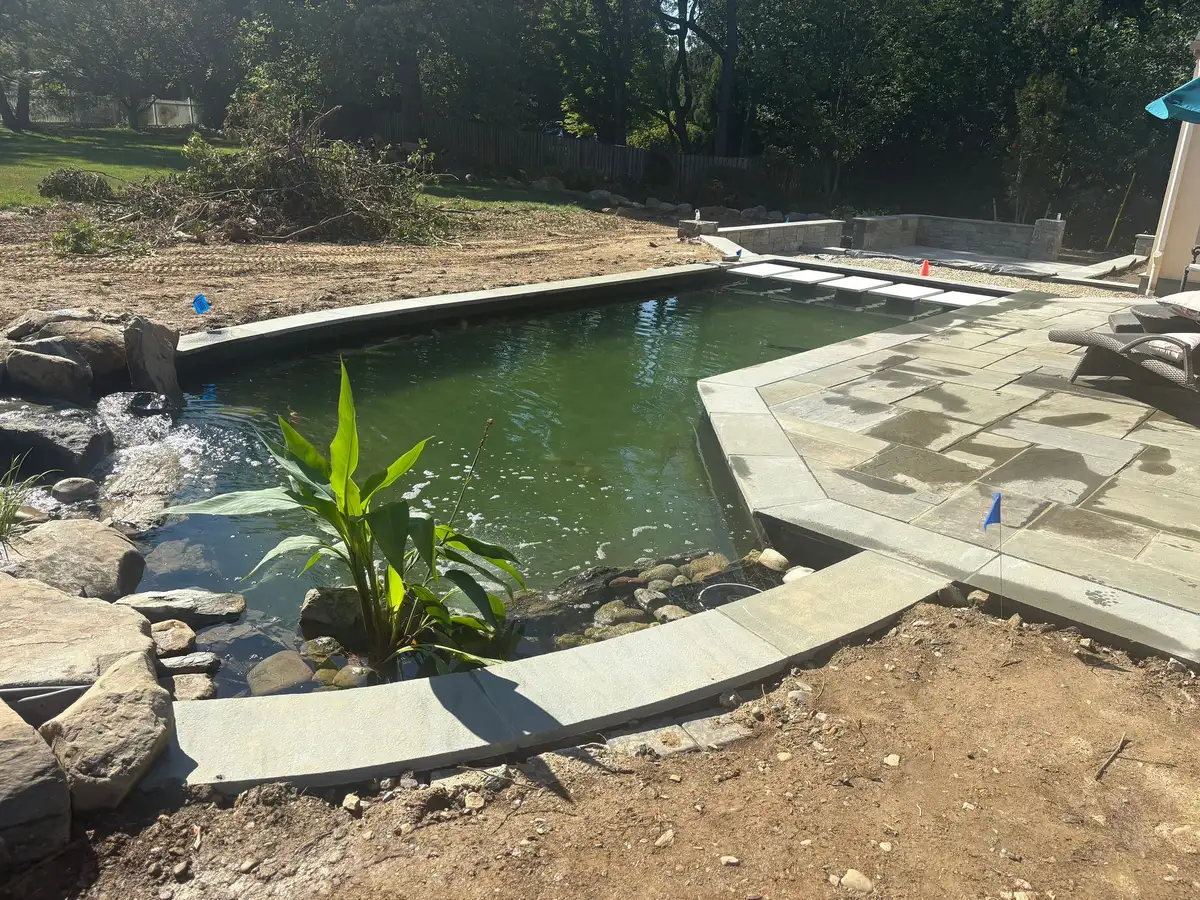 Seasonal pond maintenance including plant trimming and debris removal
