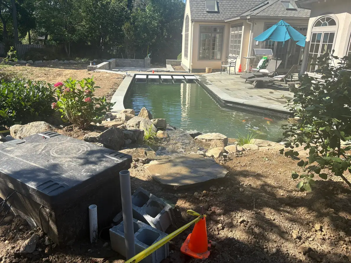 How to Protect Koi and Goldfish in Summer Heat
