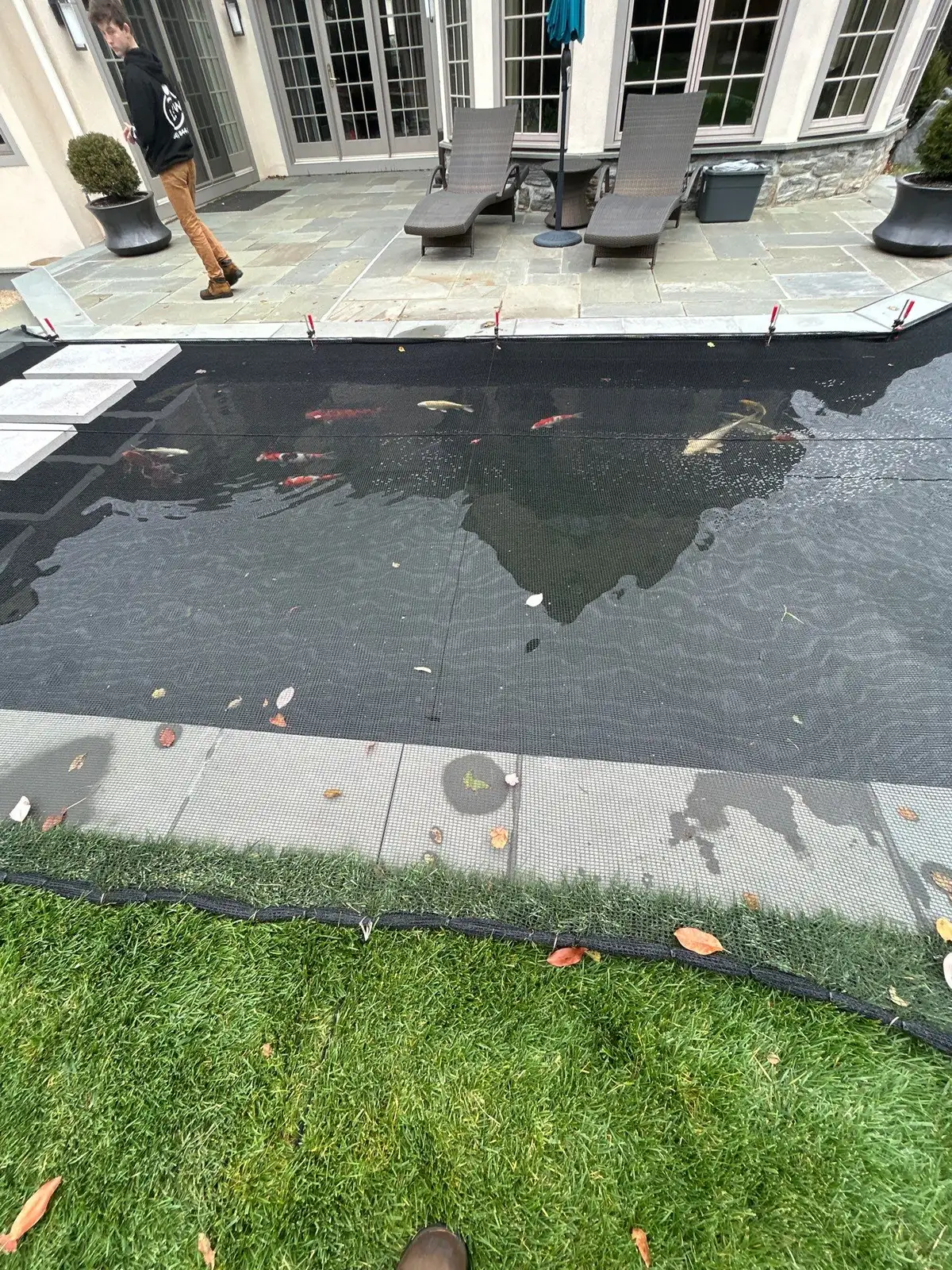 Spring pond restart with pump reinstallation and system activation