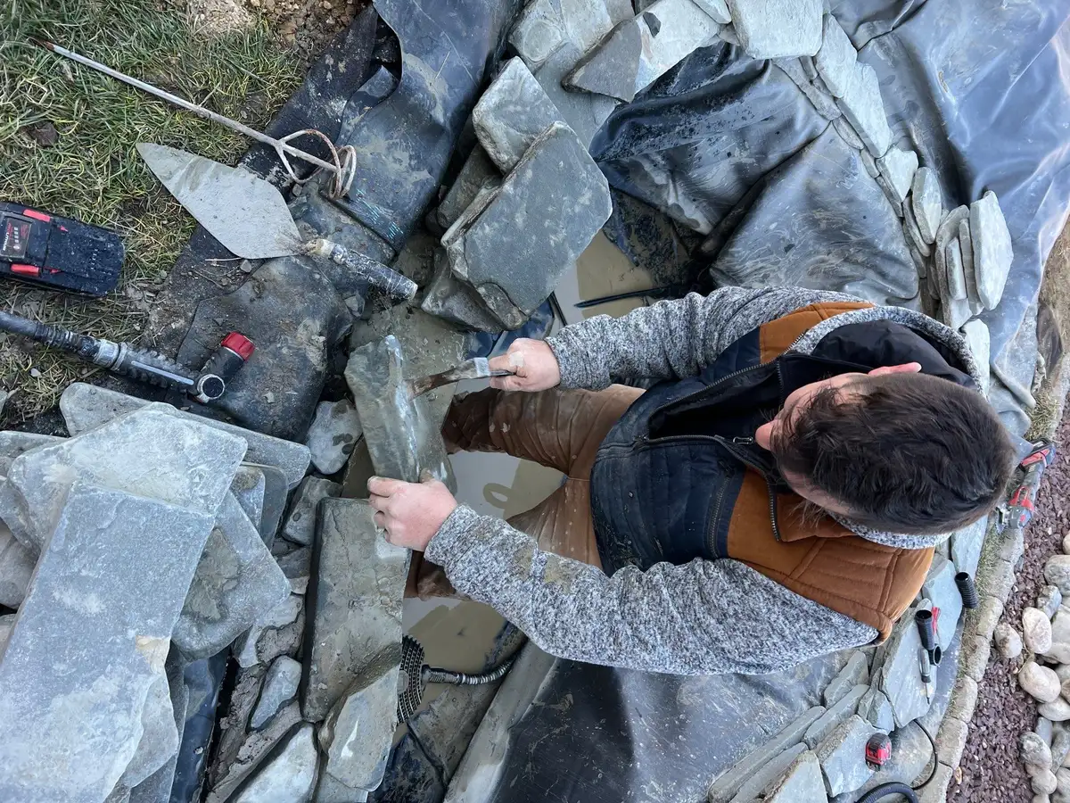Ecosystem pond waterfall with natural stone and aquatic plants